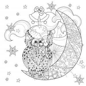 coloring-christmas-owl-on-moon