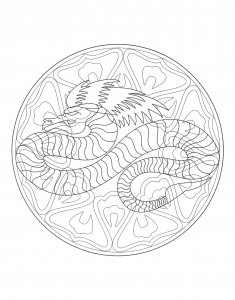 coloring-mandala-dragon-4