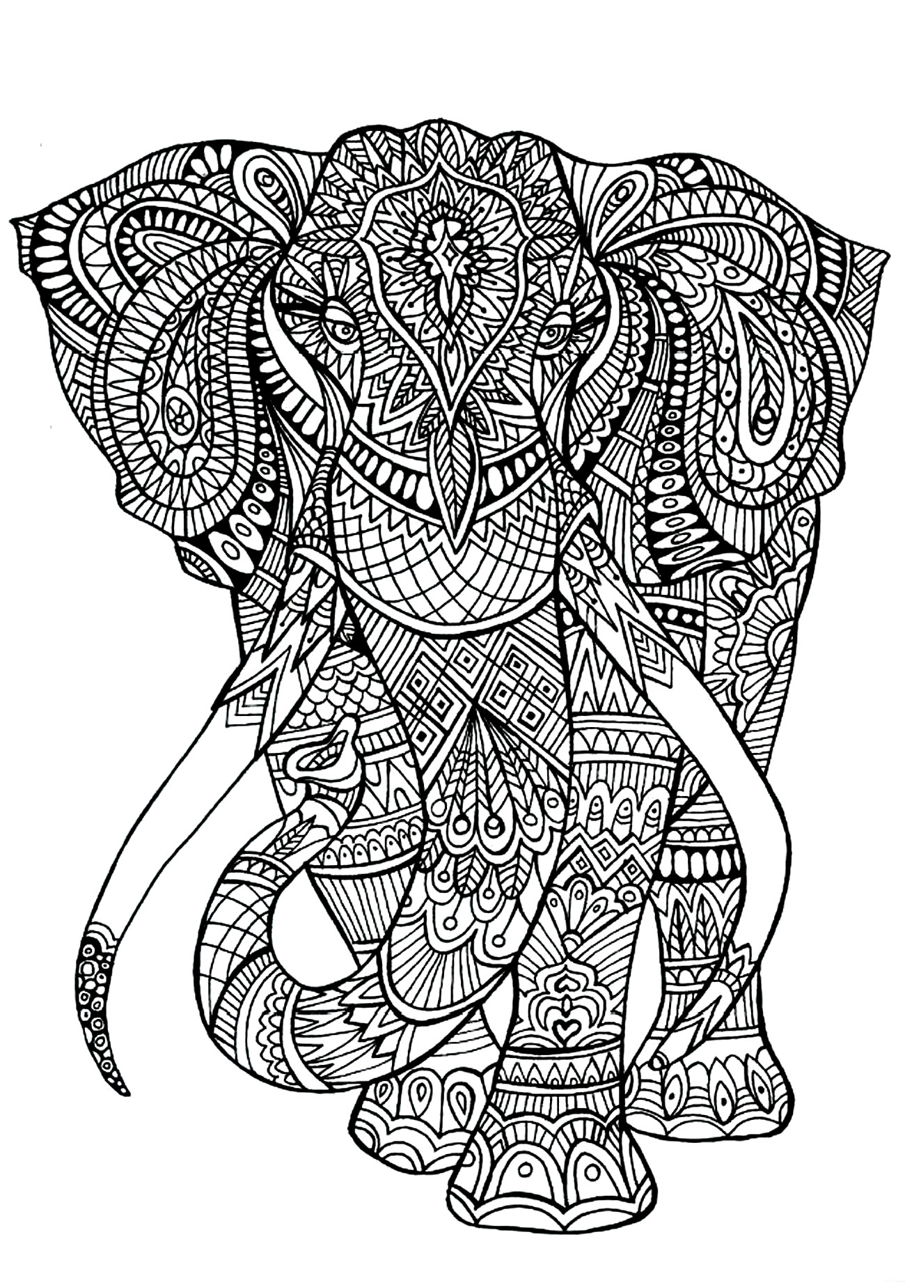 Animals - Coloring pages for adults : coloring-adult-elephant-patterns