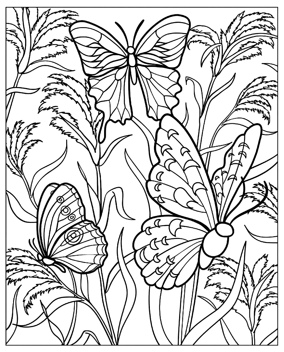 Insects Coloring Pages For Adults Coloring difficult butterflys